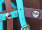 Preview: Distanztrense Quick Bridle