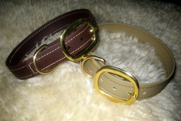 Hundehalsband big buckle