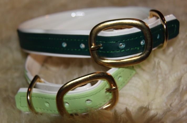 Hundehalsband big buckle